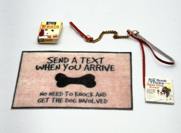 Dog Walking Set and Door Mat