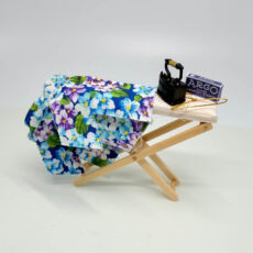 Ironing Board, Iron and Clothing 9